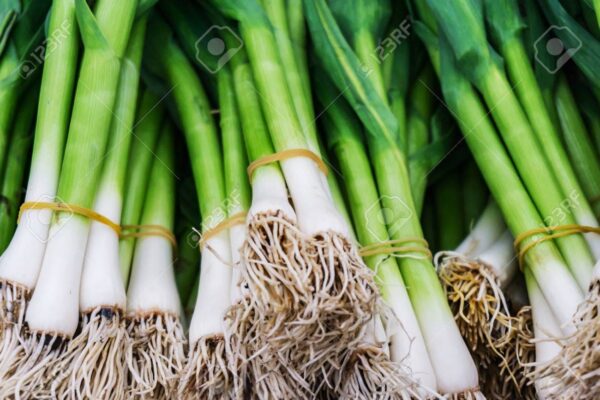 Ajo Verde (Precio por manojo)