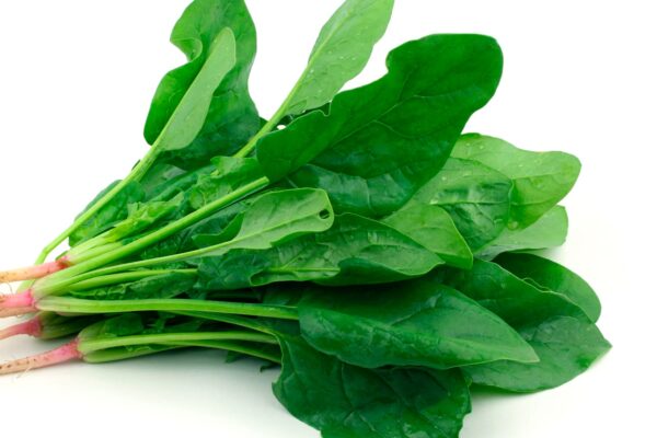 Espinaca (precio por kg)