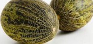 Melon Bollo (precio por kg)