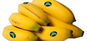 Platano Extra Canario (precio kg)